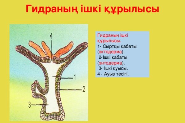 Площадка омг омг ссылка